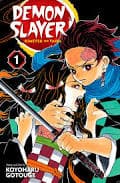 Demon Slayer: Kimetsu No Yaiba